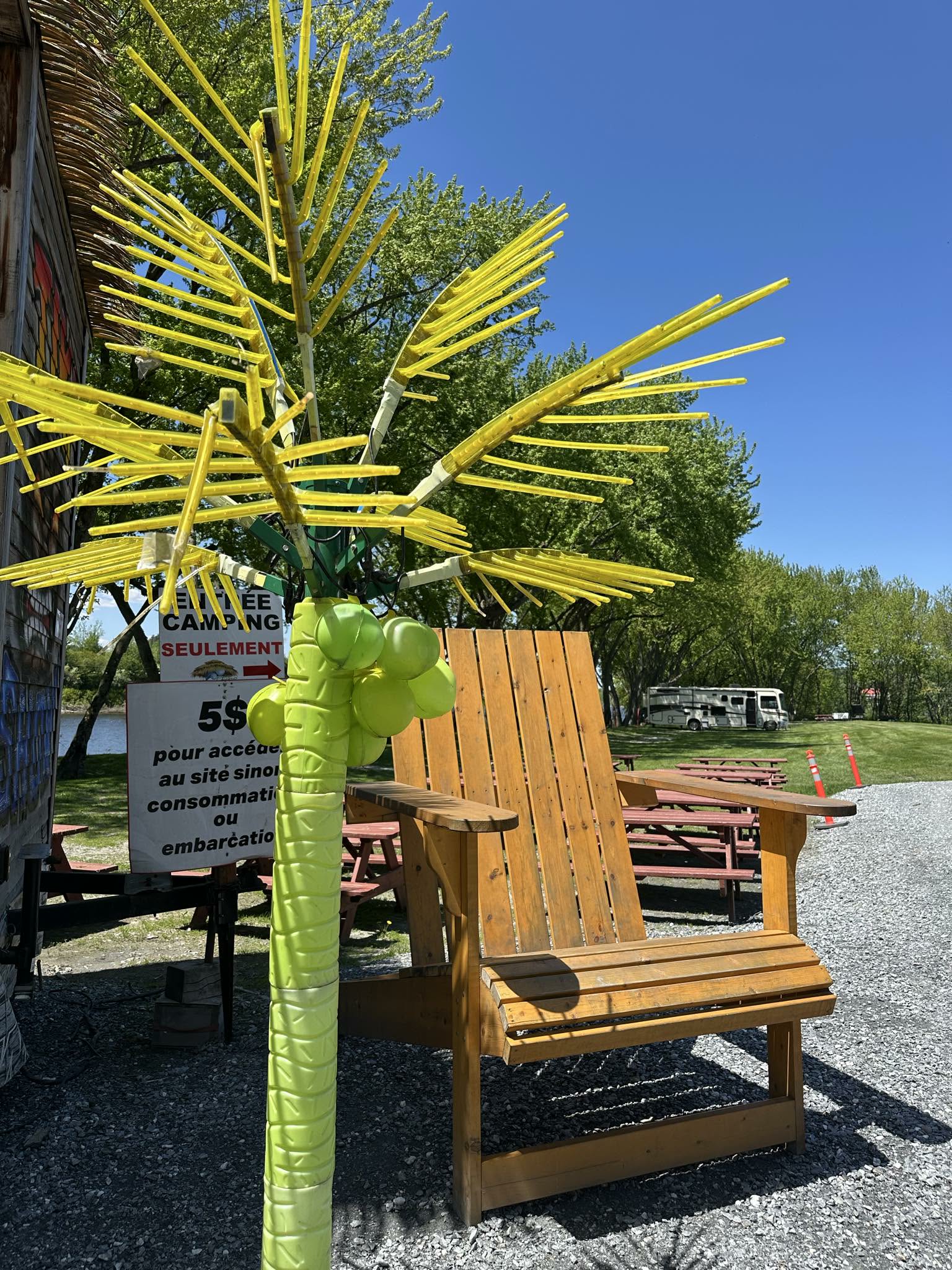 Grande chaise Adirondack et palmier lumineux près de l'entrée